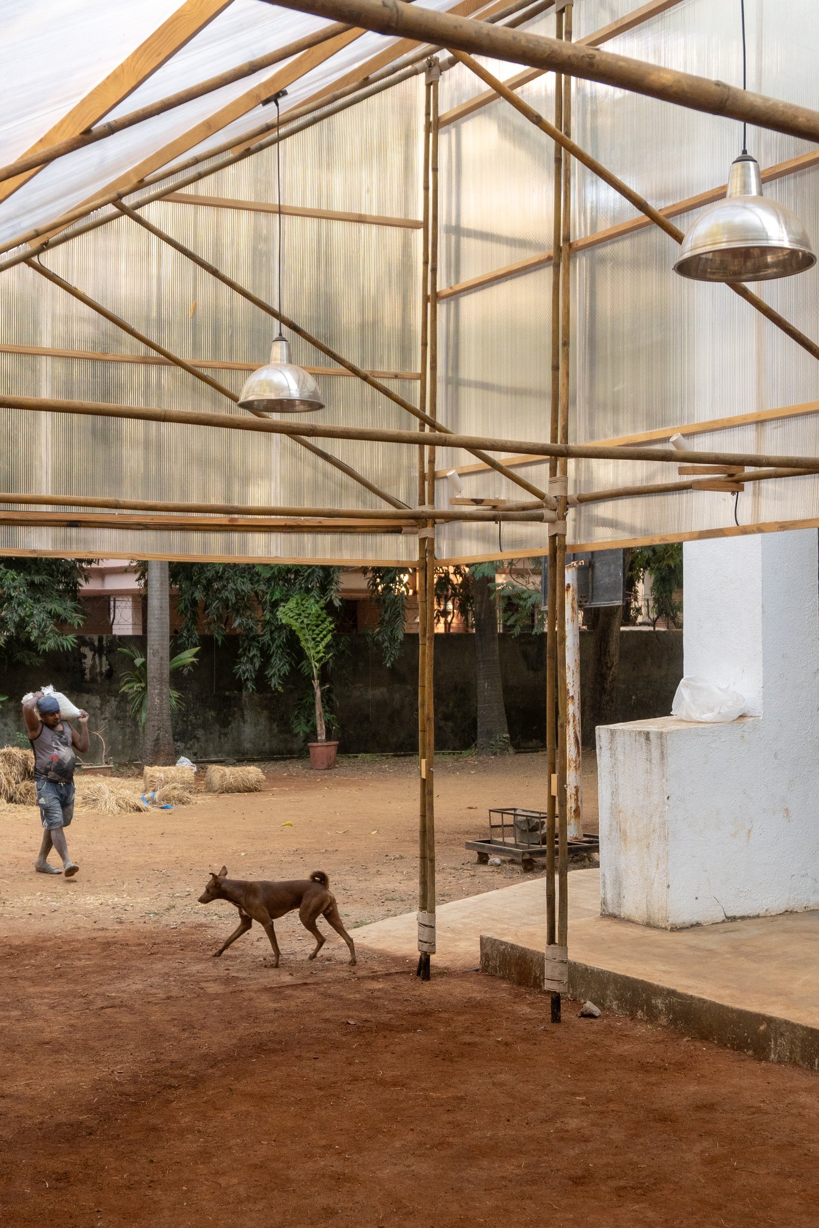 In daylight and without occupants, the bamboo frame and luminous polycarbonate ceiling reveal the project's constructional logic