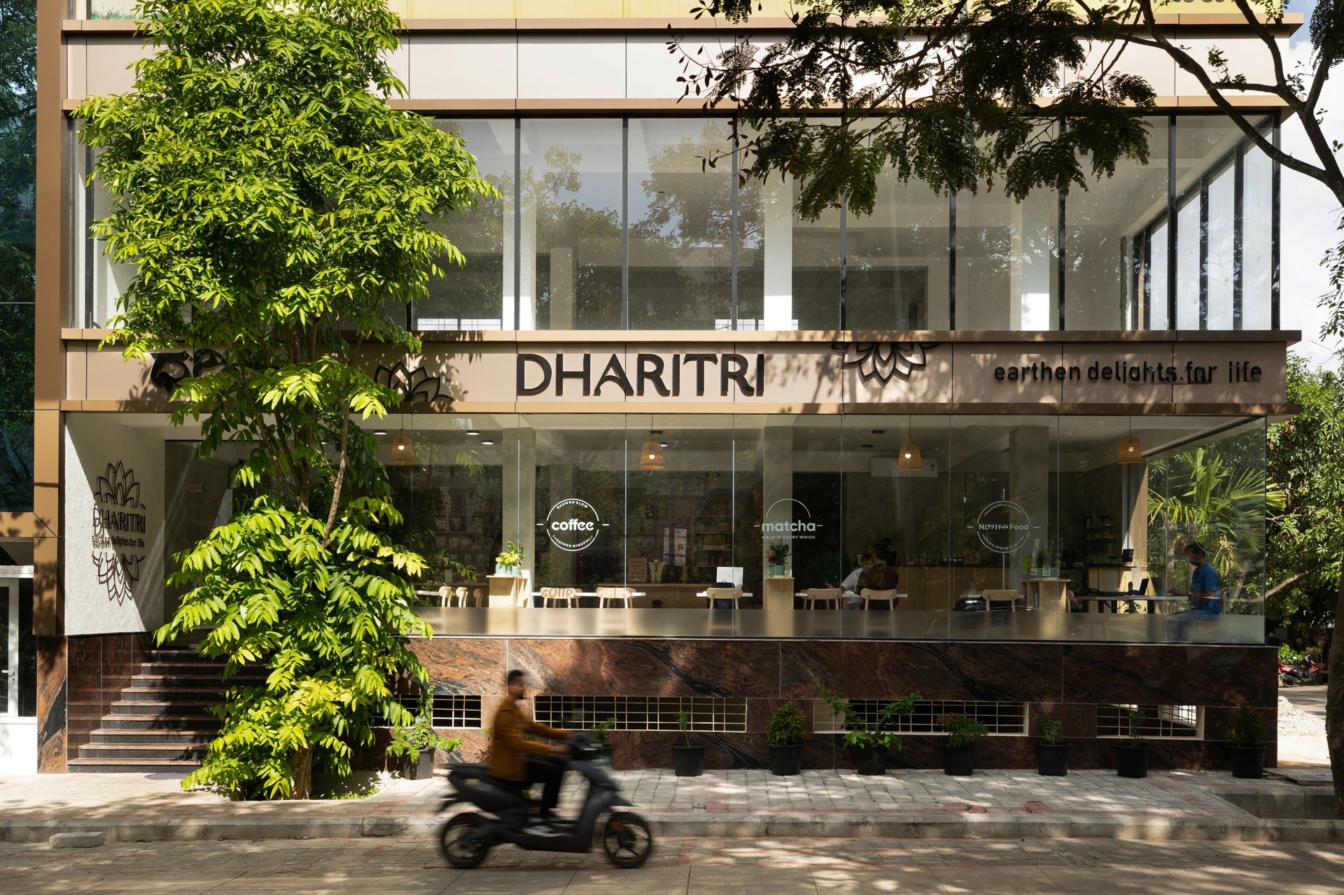 In daylight, the reflective glass allows the mature street canopy to become a shifting backdrop for the interior