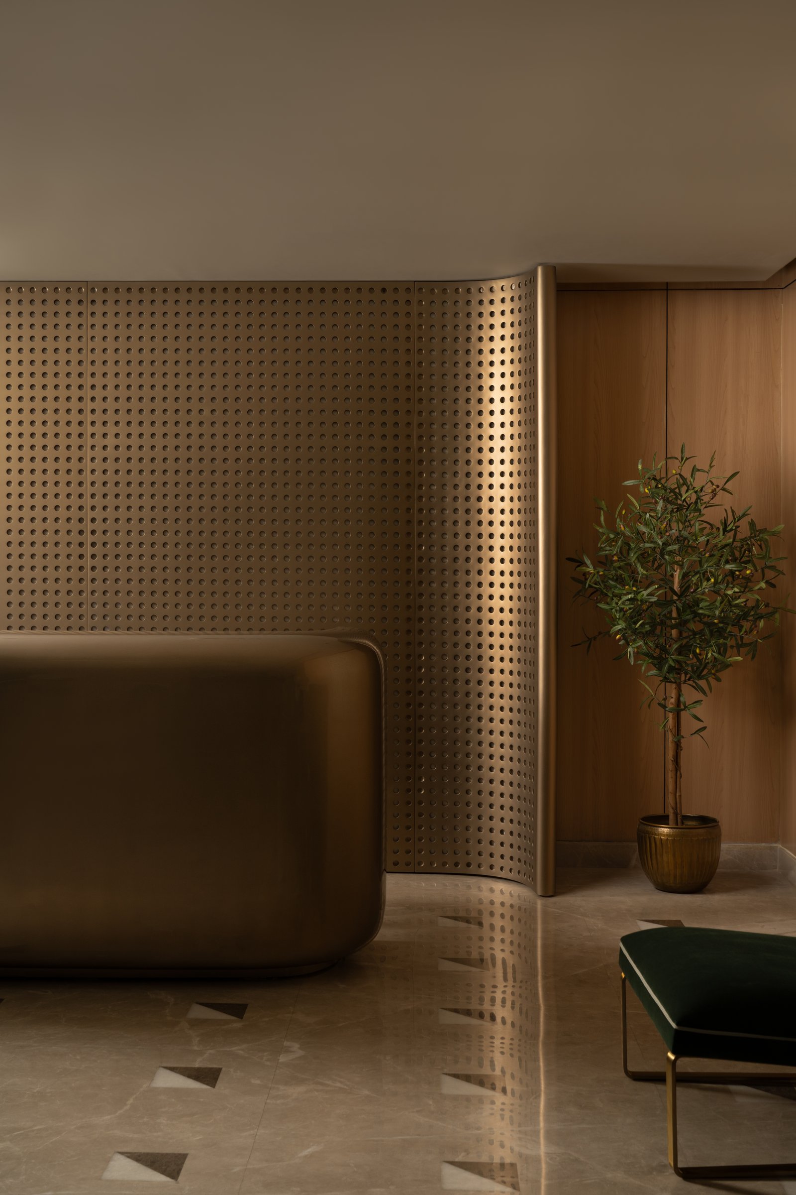 Detail of the reception screen, paired with a single olive tree, precision meeting living form